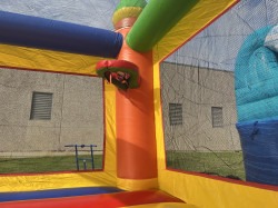 IMG 6261 1739576247 Multi Color Bounce House with Slide - Wet/Dry