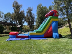 side20red20wave2018ft 1746461223 The Red Wave 18ft Slide Wet/Dry